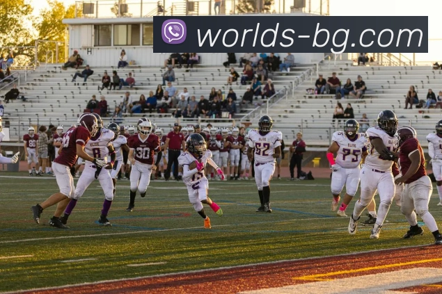 多媒体互动体验